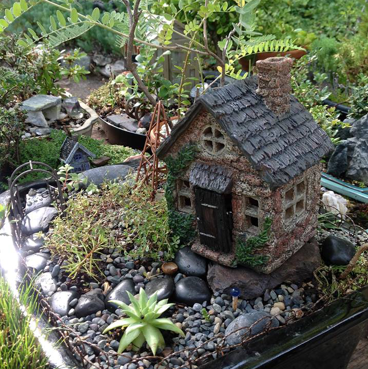 Thumbnail for Amorpha with Bucklins Cottage Garden.