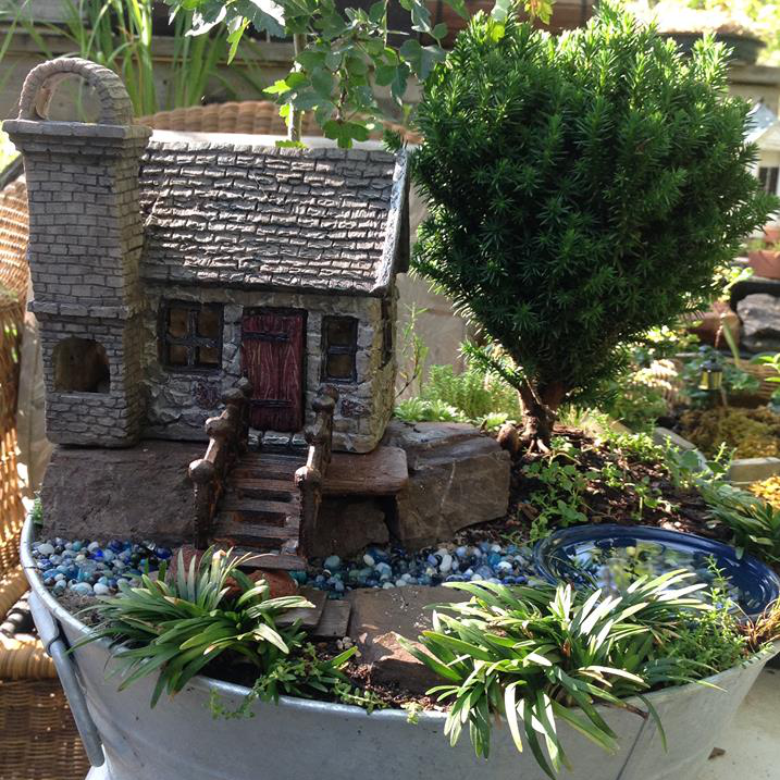 Thumbnail for Amorpha with Bucklins Cottage Garden.