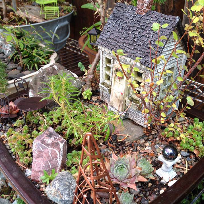 Thumbnail for Elm, Birch, and Andromeda Garden.