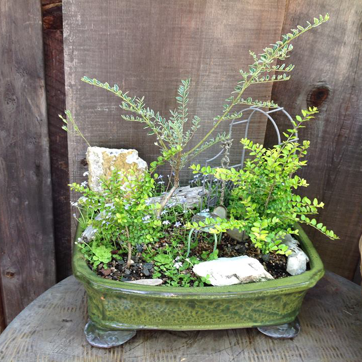 Thumbnail for Garden Gate Garden.