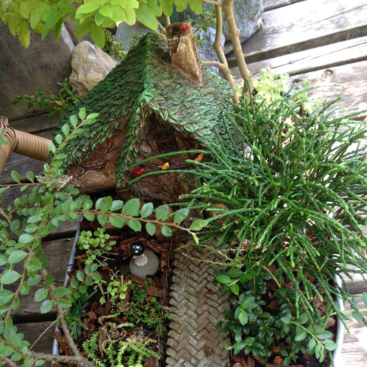 Thumbnail for Woodsy Way Garden.