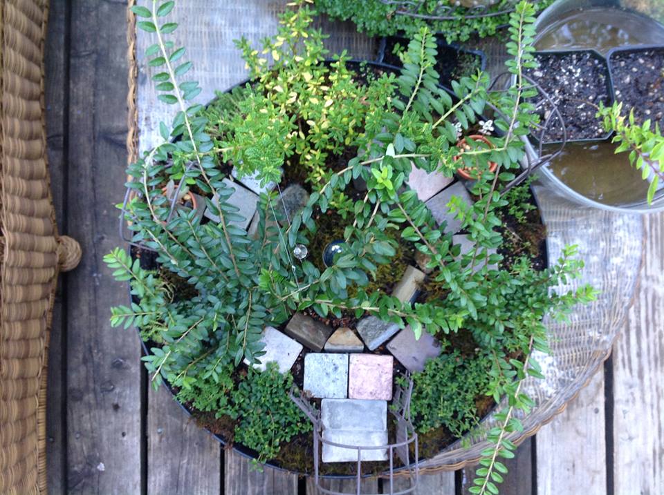 Image of Arches Garden.