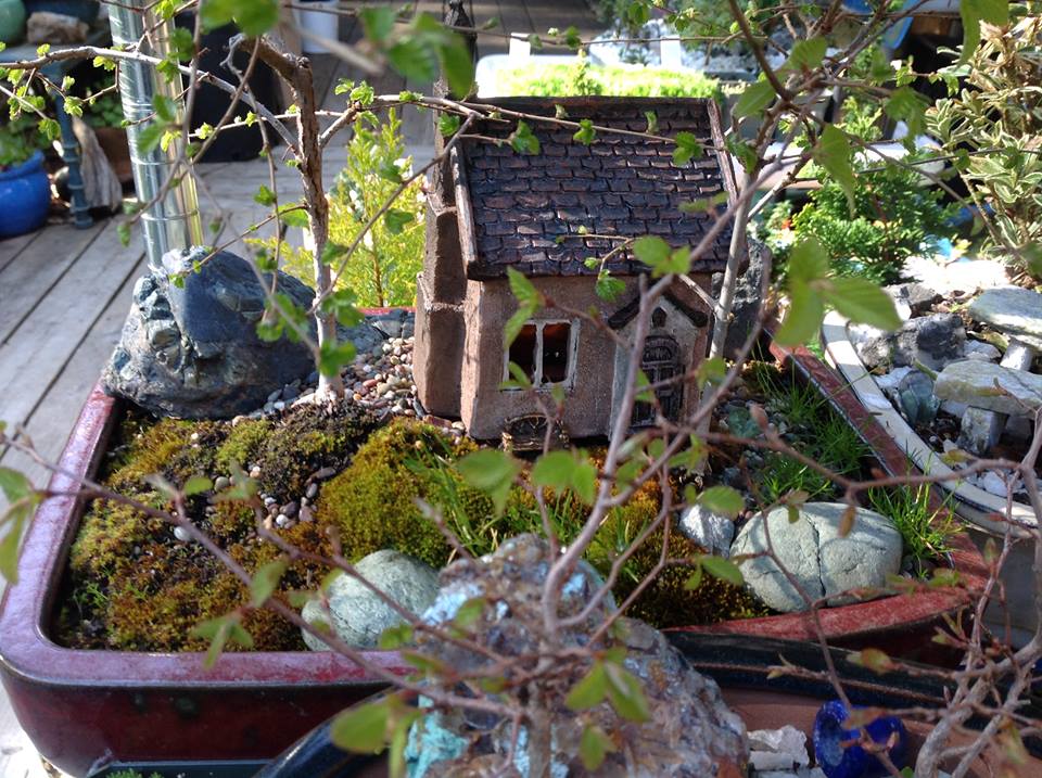 Image of Averys in the Elms Garden.