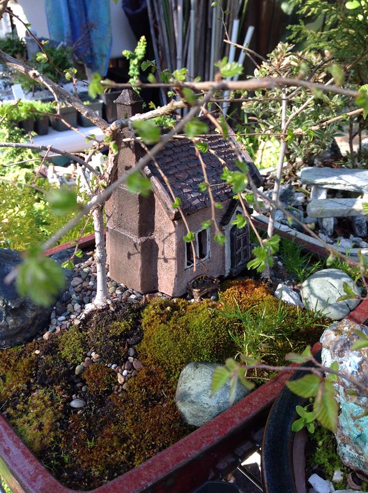 Image of Averys in the Elms Garden.