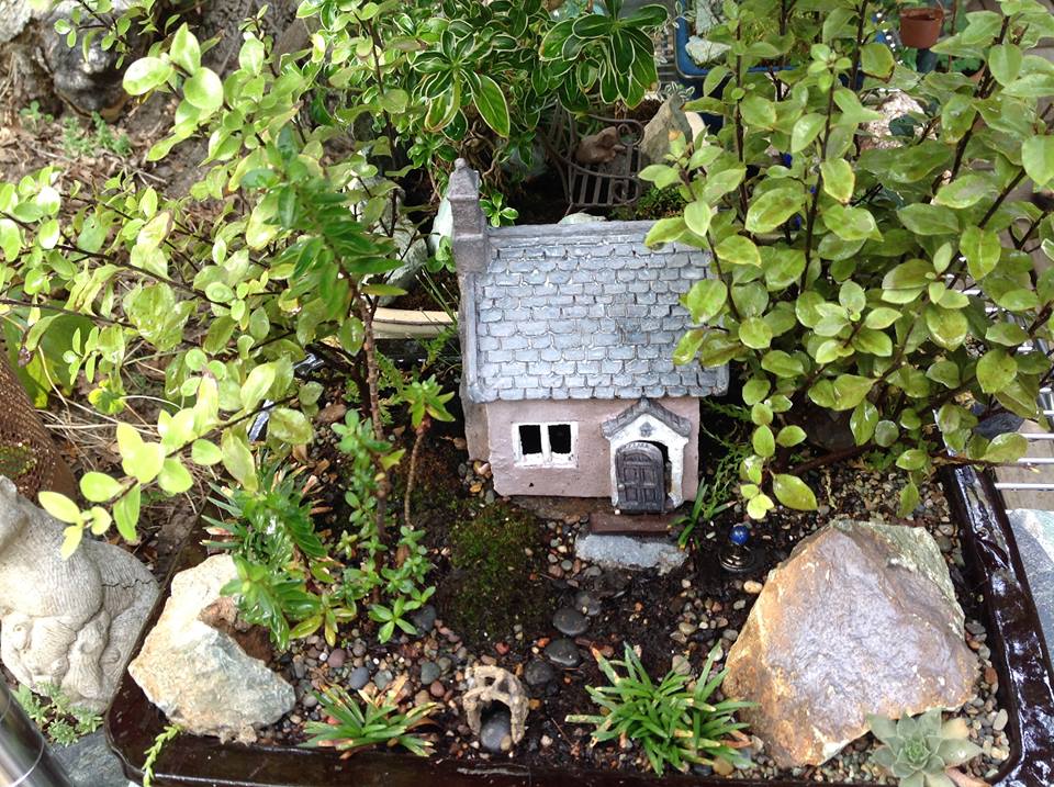 Image of Averys with Pittosporum Garden.