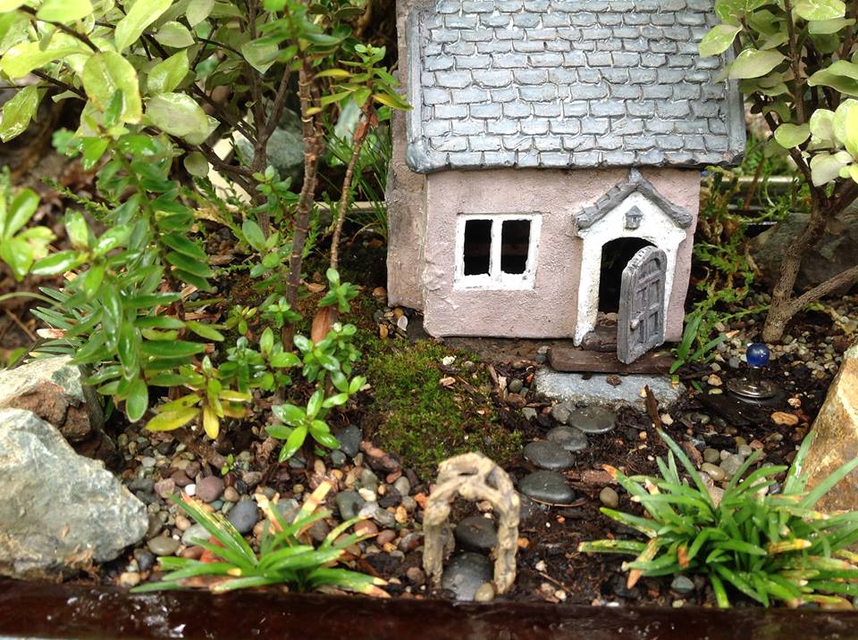 Image of Averys with Pittosporum Garden.