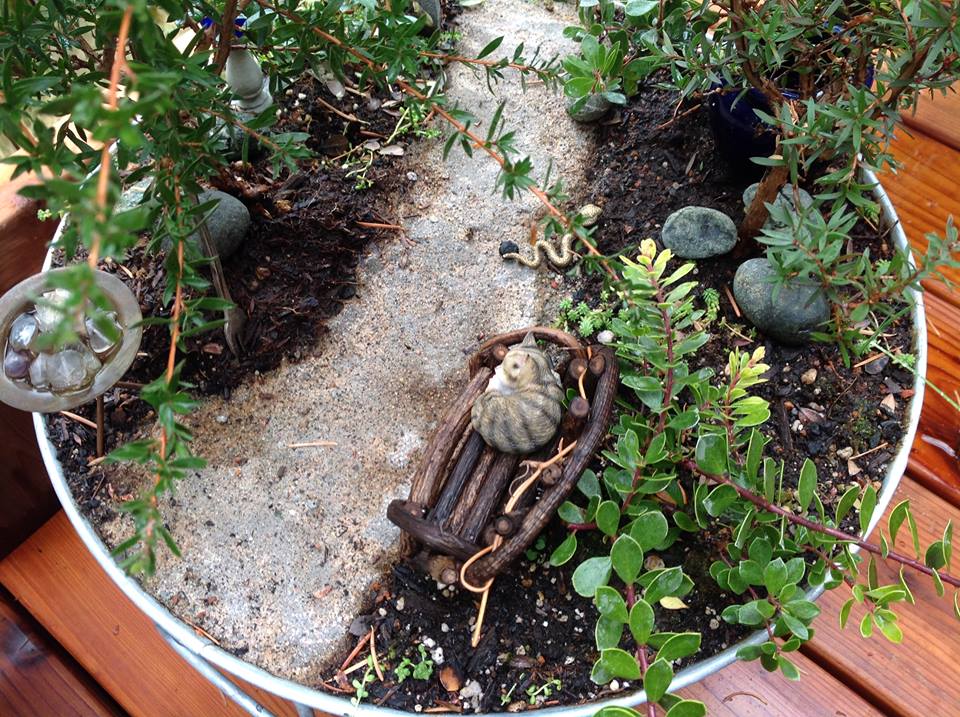 Image of Dream Path II Garden.