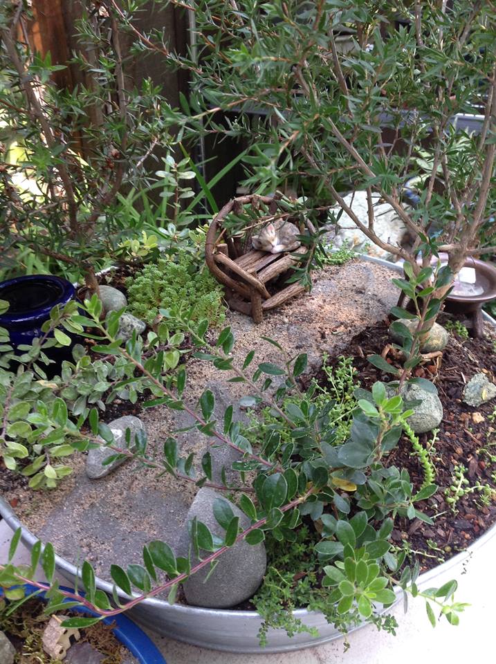 Image of Dream Path II Garden.