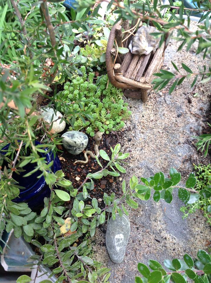 Image of Dream Path II Garden.