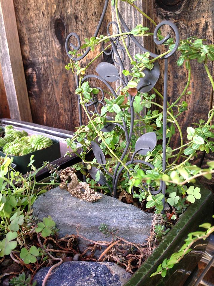 Image of Dwarf Wintercreeper Garden.