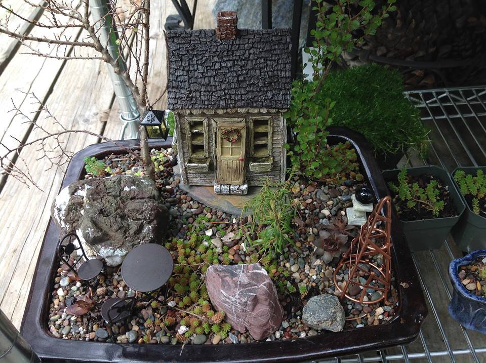 Image of Elm, Birch, and Andromeda Garden.