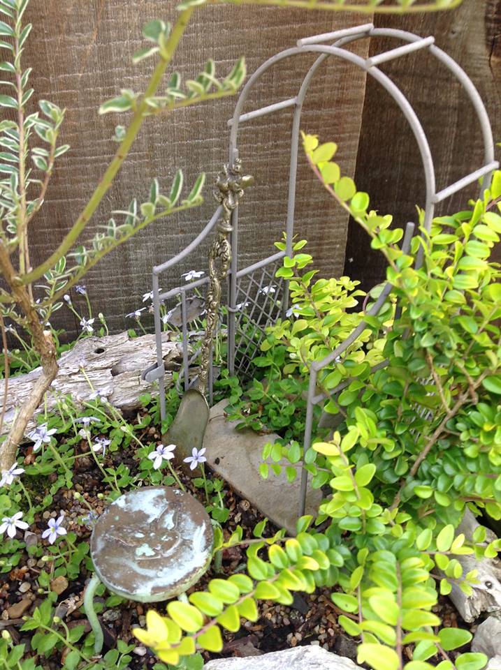 Image of Elm, Birch, and Andromeda Garden.