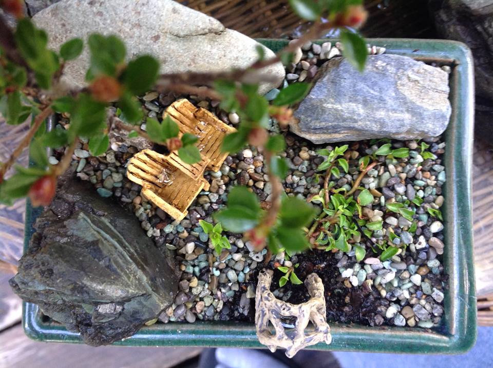 Image of New Little Garden.