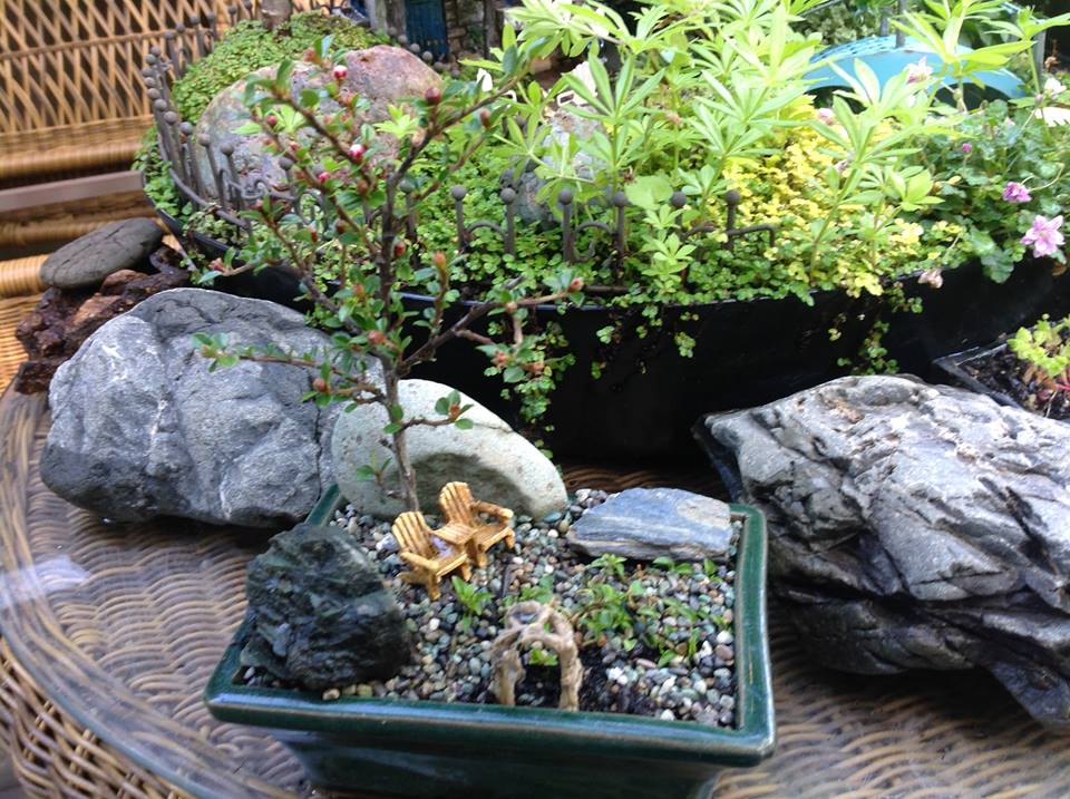 Image of New Little Garden.