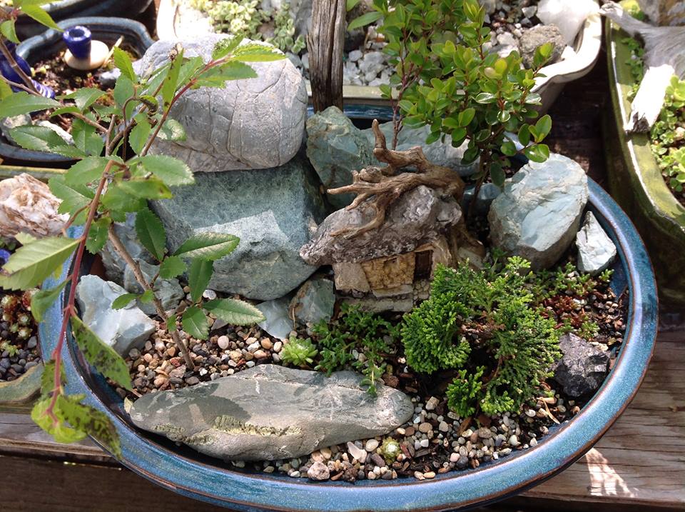 Image of Stone Gnome Home I Garden.