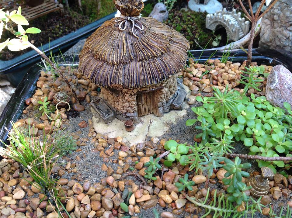 Image of Serissa with Thatched Roof Hut Garden.