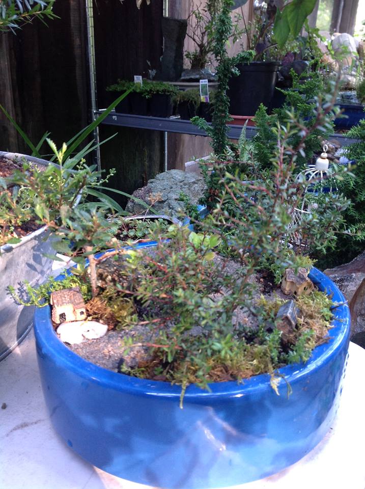 Image of The Hood Garden.