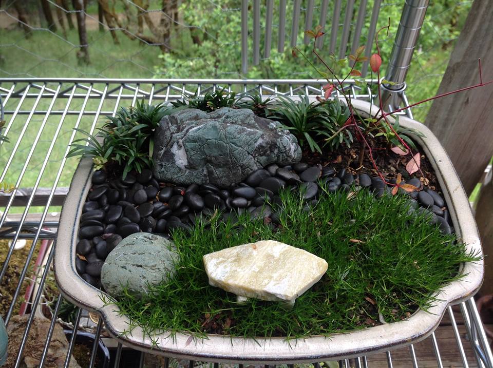 Image of Zen Garden.